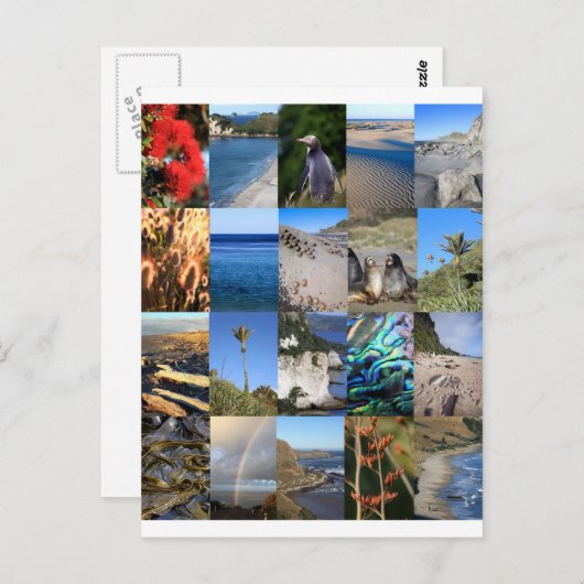 ニュージーランド沿岸の風光明媚なキウィアナ ポストカード (正面/裏面)