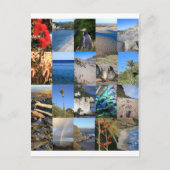 ニュージーランド沿岸の風光明媚なキウィアナ ポストカード (正面)