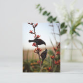 ニュージーランド産の亜麻のブッシュにトイ鳥 ポストカード (スタンド正面)