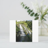 ニュージーランド自然 ポストカード (スタンド正面)