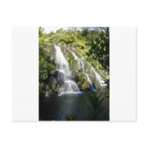 ニュージーランド自然