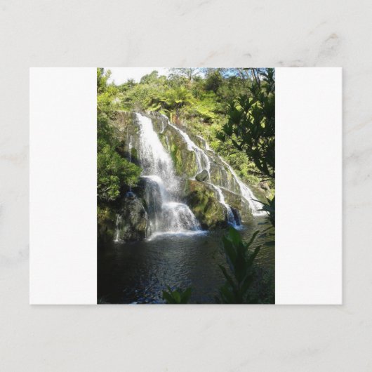 ニュージーランド自然 ポストカード (正面)