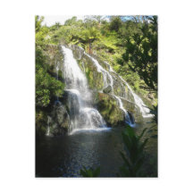 ニュージーランド自然