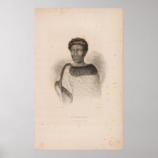 ニュージーランド2 ポスター (正面)