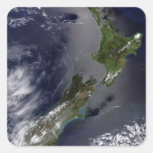 ニュージーランド4 スクエアシール (正面)