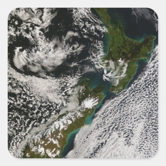 ニュージーランド5 スクエアシール (正面)