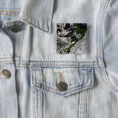 ニュージーランド5 缶バッジ (インサイチュ)