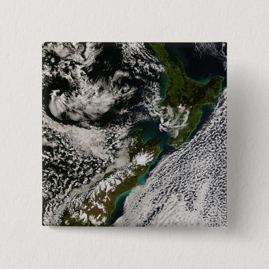 ニュージーランド5 缶バッジ (正面)