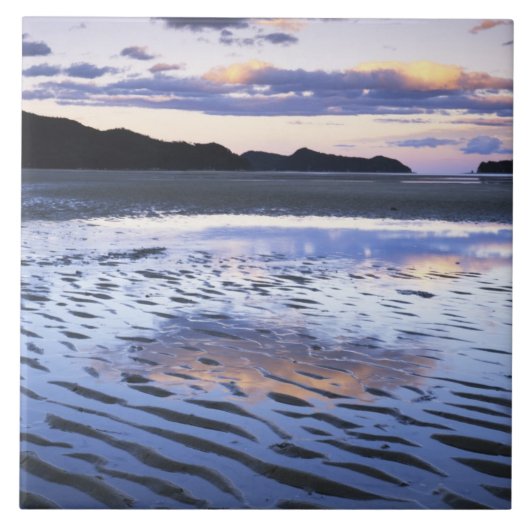 ニュージーランド、アベル·タスマン国立公園、海岸 タイル (正面)