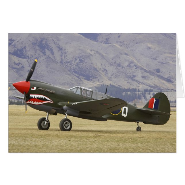 ニュージーランド, オタゴ州, ワナカ, Warbirds Over 5 (正面横)