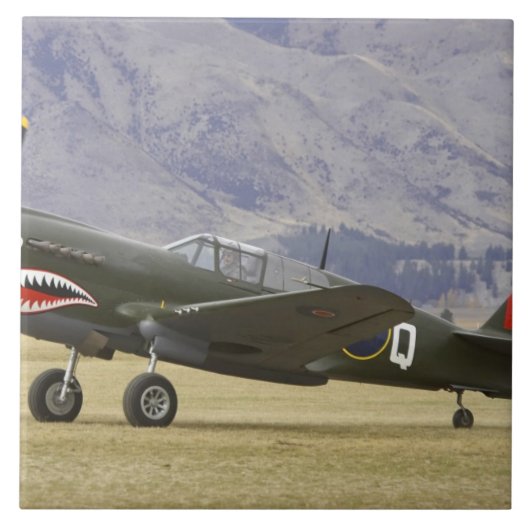 ニュージーランド, オタゴ州, ワナカ, Warbirds Over 5 タイル (正面)