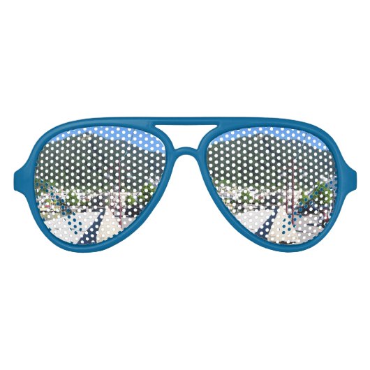 ニュージーランド、オタゴ、クイーンズタウン アビエーターサングラス (正面)