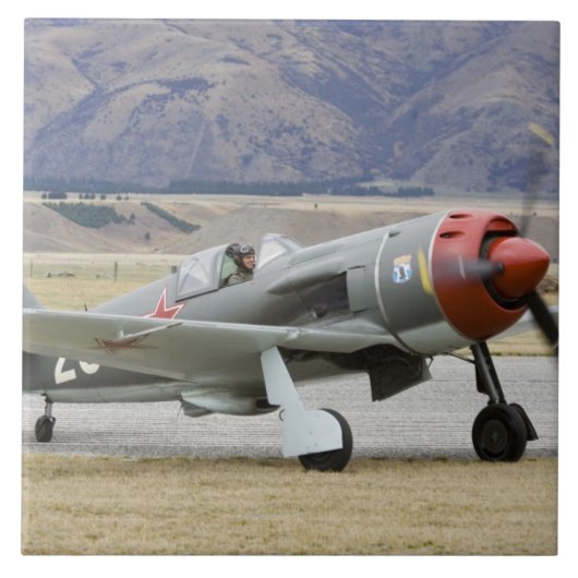 ニュージーランド、オタゴ、ワナカ、ワーバード7羽以上 タイル (正面)