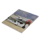 ニュージーランド、オタゴ、ワナカ、ワーバード7羽以上 タイル (側面)