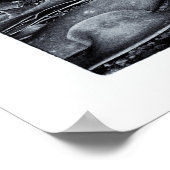 ニュージーランド、カーリオ湾&ザキャトリンズコースト ポスター (角)