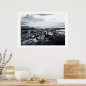 ニュージーランド、カーリオ湾&ザキャトリンズコースト ポスター (キッチン)