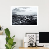 ニュージーランド、カーリオ湾&ザキャトリンズコースト ポスター (ホームオフィス)