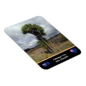 ニュージーランド – キャベツツリー、旅行/荒野 マグネット (右側)