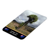 ニュージーランド – キャベツツリー、旅行/荒野 マグネット (左側)