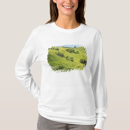ニュージーランド ギズボーン近郊の農地 Tシャツ (正面)