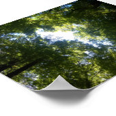 ニュージーランド，グレンオルチー ポスター (角)