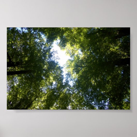 ニュージーランド，グレンオルチー ポスター (正面)