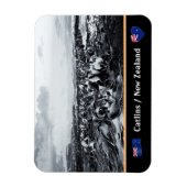 ニュージーランド·コンブコースト-クリオ湾/ザカトリンズ マグネット (縦)