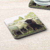 ニュージーランド コースター (左側)