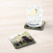 ニュージーランド コースター (右側)