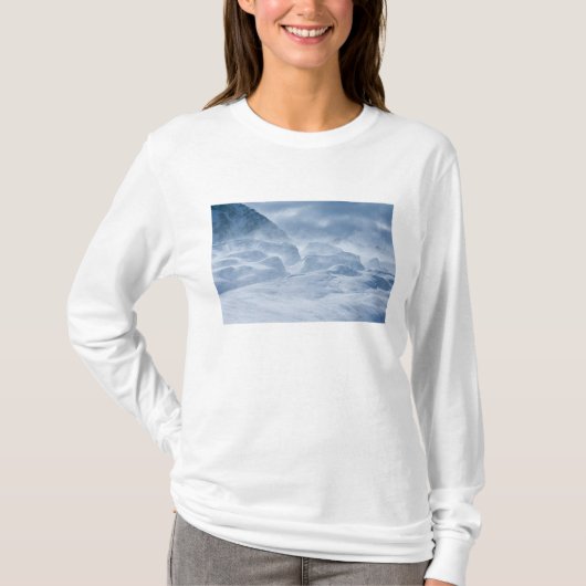 ニュージーランド、サウスアイランド、アロースミス山脈 Tシャツ (正面)