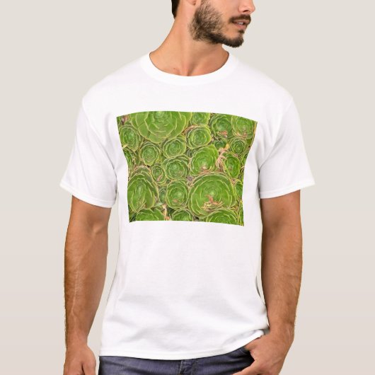 ニュージーランド、サウスアイランド 多肉植物 Tシャツ (正面)