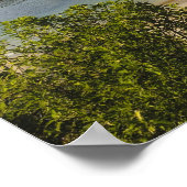 ニュージーランド、サウスランド、スチュワート島、ハーフムーン ポスター (角)