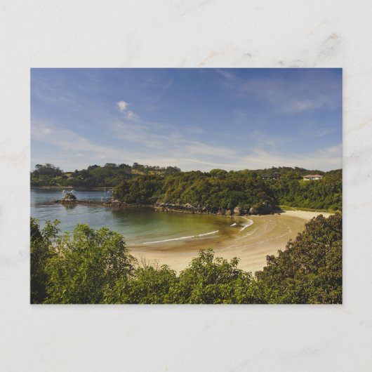 ニュージーランド、サウスランド、スチュワート島、ハーフムーン ポストカード (正面)