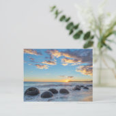 ニュージーランド, サウス島, モエラキ巨石 ポストカード (スタンド正面)