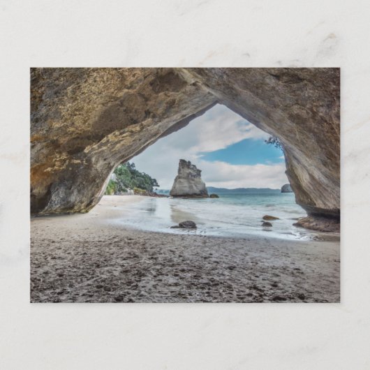 ニュージーランド、ノースアイランド、コロマンデル半島 ポストカード (正面)