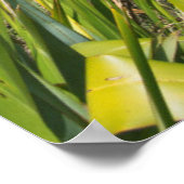 ニュージーランド、ノースアイランド、レーリンガ岬 ポスター (角)