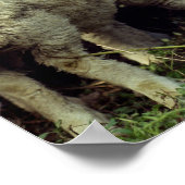 ニュージーランド ポスター (角)