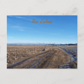 ニュージーランド ポストカード