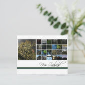 ニュージーランド ポストカード (スタンド正面)