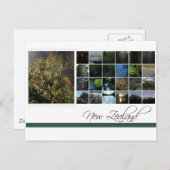 ニュージーランド ポストカード (正面/裏面)