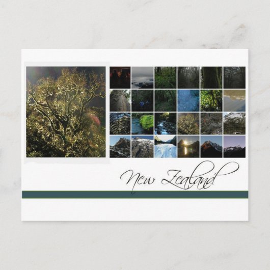 ニュージーランド ポストカード (正面)