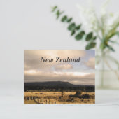 ニュージーランド ポストカード (スタンド正面)