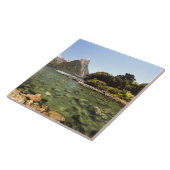 ニュージーランド、マイターピーク、ボーエン川に入る タイル (側面)