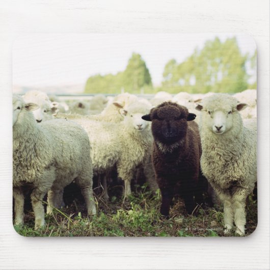 ニュージーランド マウスパッド (正面)