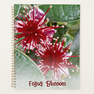 ニュージーランド レッド フローラル フェイジョアの花 プランナー手帳