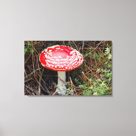 ニュージーランド、ロトルア、タウポ火山帯 キャンバスプリント (正面)