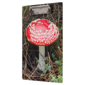 ニュージーランド、ロトルア、タウポ火山帯 クリップボード (左)