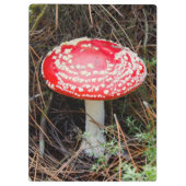 ニュージーランド、ロトルア、タウポ火山帯 クリップボード (裏面)