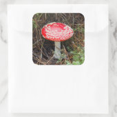 ニュージーランド、ロトルア、タウポ火山帯 スクエアシール (バッグ)