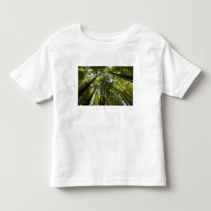 ニュージーランド ロトルア レッドウッドの森 2 トドラーTシャツ